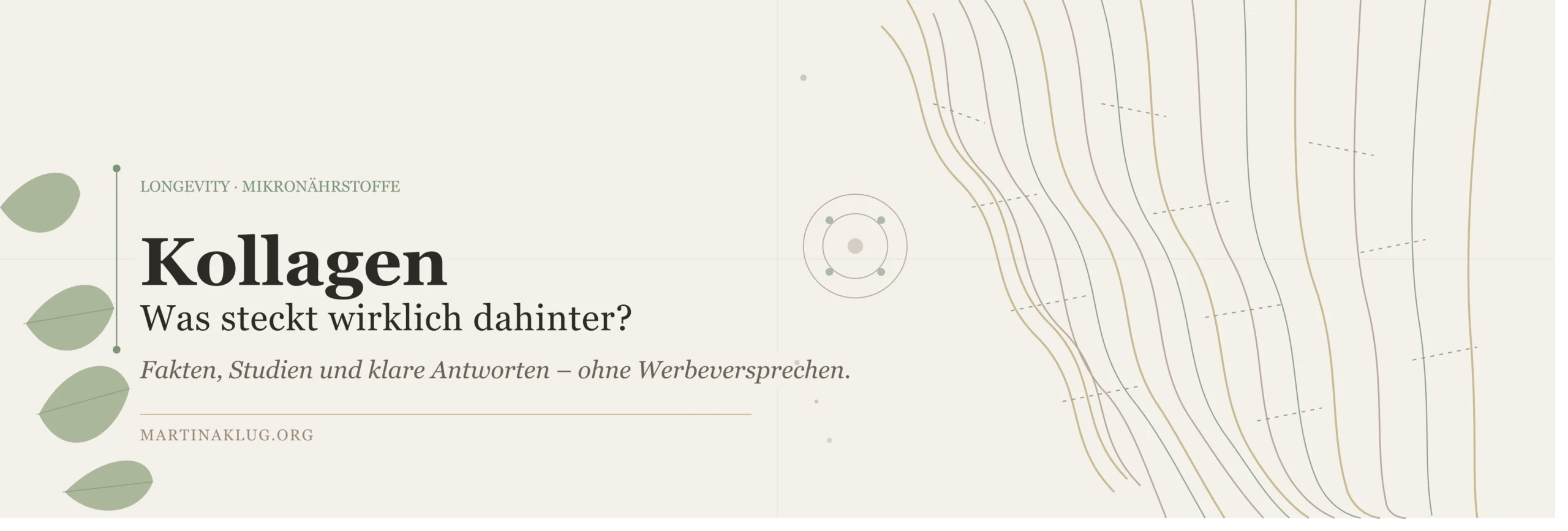 Begleitbild zum Thema Kollagen als Supplement